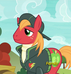 Size: 1038x1078 | Tagged: safe, derpibooru import, screencap, big macintosh, earth pony, pony, buckball season, backwards ballcap, discovery family logo, hat, male, outfit catalog, solo, stallion