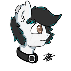 Size: 1024x1024 | Tagged: safe, artist:zuri-the-pony, derpibooru import, oc, oc only, oc:zuri, pegasus, pony, brown eyes, bust, collar, digital art, ear fluff, fluffy, male, portrait, profile, solo, watermark