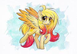 Size: 1000x704 | Tagged: safe, artist:scheadar, derpibooru import, oc, oc only, pegasus, pony, female, freckles, golden eyes, solo, spread wings, traditional art