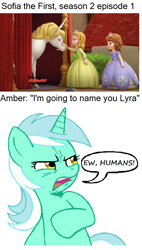 Size: 612x1078 | Tagged: safe, derpibooru import, edit, edited screencap, screencap, lyra heartstrings, pony, unicorn, coincidence i think not, ew gay, homonyms, op is a cuck, out of character, princess amber, princess sofia, sofia the first