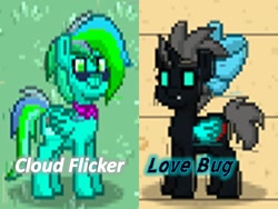 Size: 960x720 | Tagged: safe, derpibooru import, oc, oc only, oc:cloud flicker, oc:love buggy, pony town