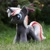 Size: 1400x1400 | Tagged: safe, artist:valmiiki, derpibooru import, oc, oc only, oc:velvet remedy, pony, unicorn, fallout equestria, fanfic, female, hooves, horn, irl, mare, nature, outdoors, photo, plushie, solo, toy