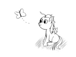 Size: 800x600 | Tagged: safe, artist:albertmanhattan, derpibooru import, butterfly, generic pony, monochrome, newbie artist training grounds, solo