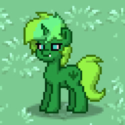 Size: 420x420 | Tagged: safe, derpibooru import, screencap, oc, oc only, oc:weedy plumpbutt, pony, pony town, solo