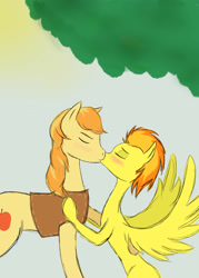 Size: 2500x3500 | Tagged: safe, artist:drizzle84, derpibooru import, braeburn, spitfire, kissing, male, shipping, spitburn, straight