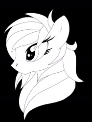 Size: 1800x2400 | Tagged: safe, artist:royalpony, derpibooru import, oc, oc only, oc:qlimaxie, profile, rp, shirt design, solo