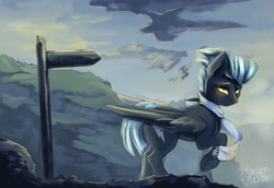 Size: 1567x1080 | Tagged: safe, artist:tangomangoes, derpibooru import, thunderlane, pegasus, pony, clothes, male, scarf, sign, solo, solo focus, stallion