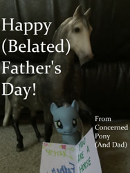Size: 540x720 | Tagged: safe, derpibooru import, horse, bootleg, card, concerned pony, father's day, irl, moustache, nightmare fuel, photo, toy