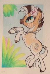 Size: 600x876 | Tagged: safe, artist:peachykeenponies, derpibooru import, oc, oc only, oc:nia the quagga, quagga, animal in mlp form, flower, jewelry, necklace, rearing