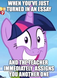 Size: 500x680 | Tagged: safe, derpibooru import, edit, edited screencap, screencap, twilight sparkle, twilight sparkle (alicorn), alicorn, pony, top bolt, adorkable, cute, dork, faic, image macro, meme, obligatory pony, solo, when x and y