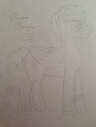 Size: 1024x1365 | Tagged: safe, artist:aeroaegis, derpibooru import, oc, oc only, oc:aero aegis, pegasus, pony, male, pencil drawing, signature, sketch, solo, stallion, traditional art