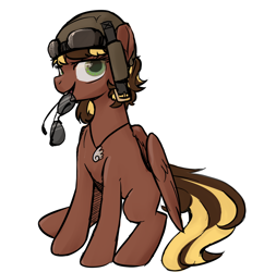 Size: 1280x1325 | Tagged: safe, artist:inlucidreverie, derpibooru import, oc, oc only, pegasus, pony, aviator glasses, helmet, jewelry, looking at you, necklace, roan rpg