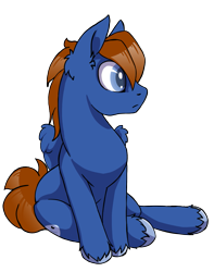 Size: 789x1000 | Tagged: safe, artist:arctic-fox, derpibooru import, oc, oc only, oc:seaward skies, pegasus, pony, simple background, solo, transparent background, unshorn fetlocks