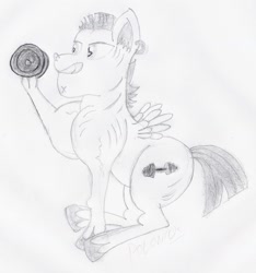 Size: 1695x1813 | Tagged: safe, artist:polonius25, derpibooru import, bulk biceps, hoof hold, newbie artist training grounds, solo, traditional art, weight lifting, weights