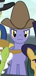 Size: 187x390 | Tagged: safe, derpibooru import, screencap, earth pony, pony, appleoosa's most wanted, appleloosa resident, background pony, cowboy hat, cropped, hat, male, solo focus, stallion, unnamed pony