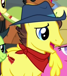 Size: 506x574 | Tagged: safe, derpibooru import, screencap, bandana baldwin, high stakes, earth pony, pony, appleoosa's most wanted, appleloosa resident, background pony, bandana, cowboy hat, cropped, hat, male, solo focus, stallion