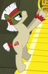 Size: 210x324 | Tagged: safe, derpibooru import, screencap, earth pony, pony, daring don't, aztec, background pony, bodypaint, cropped, male, rings of scorchero, solo, stallion, unnamed pony