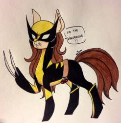 Size: 2268x2299 | Tagged: safe, artist:ameliacostanza, derpibooru import, earth pony, pony, anti-hero, anti-heroine, belt, bone spike projection, boots, claws, clothes, costume, crossover, fangs, laura kinney, marvel, ponified, shoes, solo, traditional art, wolverine, x-23, x-men