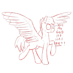 Size: 1700x1700 | Tagged: safe, artist:bojangleee, derpibooru import, bird pone, seagull, sketch, spread wings, sweat