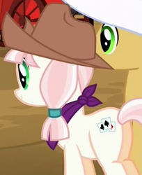 Size: 515x632 | Tagged: safe, derpibooru import, screencap, earth pony, pony, appleoosa's most wanted, background pony, bandana, cowboy hat, cropped, female, hat, mare, solo focus, unnamed pony