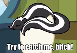 Size: 421x288 | Tagged: safe, derpibooru import, screencap, skunk, 28 pranks later, animal, bitch, clone high, female, grammar error, image macro, impact font, mannequin, meme, mirror, sleeping, smiling, solo, text, this is for emphasis bitch, vulgar