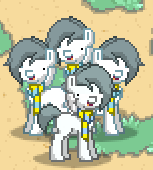 Size: 153x170 | Tagged: safe, derpibooru import, oc, bob, cute, group, group photo, ponified, pony town, pony town multeity, temmie, undertale