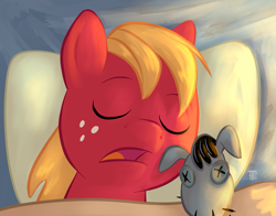 Size: 1100x863 | Tagged: safe, artist:1trick, derpibooru import, part of a series, part of a set, big macintosh, smarty pants, earth pony, pony, 1trickpone's sleeping ponies, book, eyes closed, male, sleeping, solo, stallion