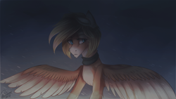 Size: 1366x768 | Tagged: safe, artist:orfartina, derpibooru import, oc, oc only, oc:rouly sky, pegasus, pony, solo