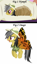 Size: 800x1376 | Tagged: safe, derpibooru import, daring do, butterfly, nymph, stranger than fan fiction, body pillow, butterfly wings, daring daki, imago, metamorphosis