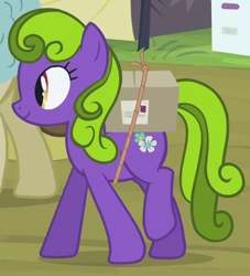 Size: 546x602 | Tagged: safe, derpibooru import, screencap, earth pony, pony, trade ya, background pony, cropped, female, mare, package, recolor, rope, smiling, solo focus, unnamed pony, walking