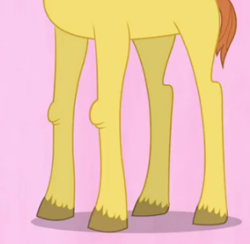 Size: 294x287 | Tagged: safe, derpibooru import, screencap, pony, hearts and hooves day (episode), cropped, hearts and hooves day, legs, pictures of legs, simple background, solo, tall tale (character), the perfect stallion