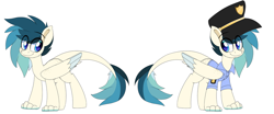 Size: 1024x424 | Tagged: safe, artist:prince-lionel, derpibooru import, oc, oc only, pony, reference sheet