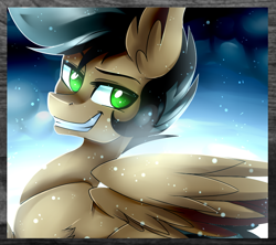 Size: 900x800 | Tagged: safe, artist:prince-lionel, derpibooru import, oc, oc only, pony, solo