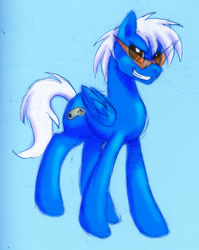 Size: 1516x1905 | Tagged: safe, artist:ashleynicholsart, derpibooru import, oc, oc only, pegasus, pony, commission, kamina sunglasses, solo