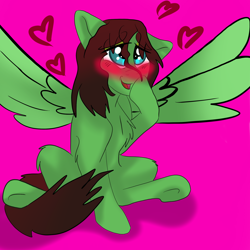 Size: 2048x2048 | Tagged: safe, artist:percy-mcmurphy, derpibooru import, oc, oc only, blushing, heart, solo, wingboner