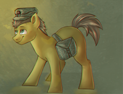 Size: 2000x1527 | Tagged: safe, artist:segraece, derpibooru import, oc, oc only, oc:steel ivy, bag, camouflage, chromatic aberration, commission, hat, solo