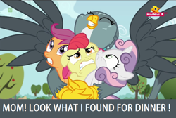 Size: 800x538 | Tagged: safe, derpibooru import, edit, edited screencap, screencap, apple bloom, gabby, scootaloo, sweetie belle, griffon, the fault in our cutie marks, carnivore, cutie mark crusaders, food chain, griffons doing griffon things, hug, meme, minimini, mythologically accurate, predator, prey