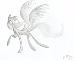 Size: 2036x1687 | Tagged: safe, artist:triplerainbowdash, derpibooru import, oc, oc only, pegasus, pony, butt wings, monochrome, pencil drawing, solo, traditional art