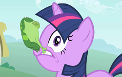 Size: 995x632 | Tagged: safe, derpibooru import, edit, edited screencap, screencap, twilight sparkle, frog, feeling pinkie keen, meme, pepe, pepe the frog, rare, smug