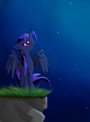 Size: 5081x6833 | Tagged: safe, artist:halotheme, derpibooru import, oc, oc only, alicorn, pony, absurd resolution, night, solo