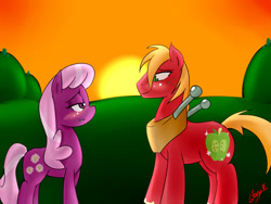 Size: 800x600 | Tagged: safe, artist:starykrow, big macintosh, cheerilee, earth pony, pony, blushing, cheerimac, grass, lidded eyes, male, shipping, straight, sunset