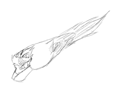 Size: 5000x4000 | Tagged: safe, artist:bravefleet, derpibooru import, oc, oc only, oc:brave fleet, birb, fast, flying, flying fast, nose dive, old, sketch, solo, speed, tail feathers, wings