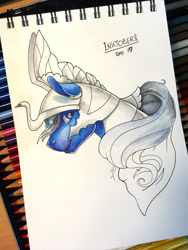 Size: 3024x4032 | Tagged: safe, artist:dragonademetal, derpibooru import, oc, oc only, oc:rain lullaby, armor, solo, traditional art