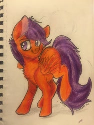 Size: 2448x3264 | Tagged: safe, artist:snowfoxythefox, derpibooru import, scootaloo, colored, colored pencil drawing, colored sketch, pencil, pencil drawing, smiling, smirk, solo, traditional art