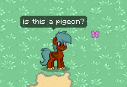 Size: 338x233 | Tagged: safe, derpibooru import, screencap, butterfly, pony, is this a pigeon, pony town, solo