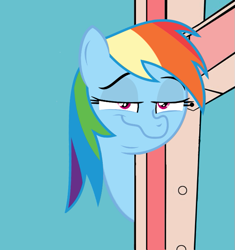 Size: 565x600 | Tagged: safe, derpibooru import, faic, looking at you, meme, rainbow dash is best facemaker, smug, smugdash, that fucking cat, that fucking dash, tom and jerry