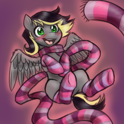 Size: 1000x1000 | Tagged: safe, artist:jitterbugjive, derpibooru import, oc, oc only, oc:aero, pegasus, pony, blushing, clothes, colt, excited, femboy, male, offspring, parent:derpy hooves, parent:oc:warden, parents:canon x oc, parents:warderp, scarf, socks, solo, striped socks, trap