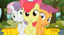 Size: 1275x709 | Tagged: safe, derpibooru import, screencap, apple bloom, gabby, scootaloo, sweetie belle, griffon, the fault in our cutie marks, :o, cutie mark crusaders, discovery family logo