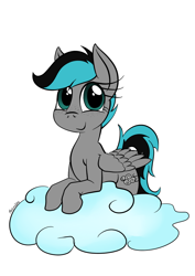 Size: 826x1169 | Tagged: safe, artist:darkhestur, derpibooru import, oc, oc only, oc:gusty clouds, pegasus, pony, cloud, freckles, simple background, solo