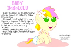 Size: 1500x1000 | Tagged: safe, artist:newportmuse, derpibooru import, oc, oc only, oc:honolulu, pony, baby, baby pony, fact guide, hawaii, haywaii, honolu-loo, reference sheet, solo